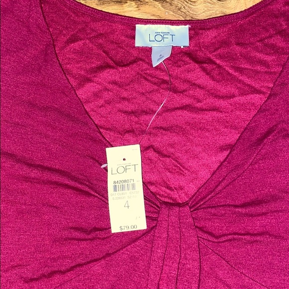 NWT Ann Taylor Loft Dress - Picture 3 of 3